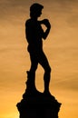 David in silhouette