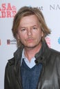 David Spade Royalty Free Stock Photo