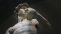David statue bust by Michelangelo