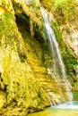 David waterfall in Ein Gedi Nature Reserve