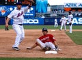 David Wright and Brad Ausmus