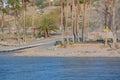 Davis Camp  Boat Ramp on the Colorado River In Bullhead, Mohave County, Arizona USA Royalty Free Stock Photo