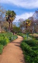 Davis Central Park gardens in the spring, path vertical