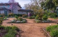 Davis Central Park gardens in the spring with redbud tree