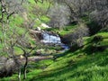 Davis Creek Waterfall