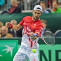 Davis Cup Austria vs. Russia Royalty Free Stock Photo