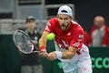 Davis Cup Austria vs. Russia Royalty Free Stock Photo