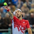 Davis Cup Austria vs. Russia Royalty Free Stock Photo