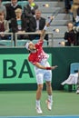 Davis Cup Austria vs. Russia Royalty Free Stock Photo