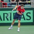 Davis Cup Austria vs. Russia Royalty Free Stock Photo