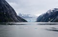 The Dawes Glacier