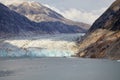 Dawes Glacier in Endicott Arm near Juneau Alaska