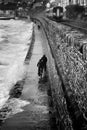 Dawlish Storm