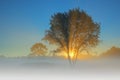 Dawn Al Sabo Meadow in Fog with Sunbeams Royalty Free Stock Photo