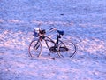 Dawn beach bicycle Royalty Free Stock Photo