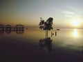 Dawn beach nature reflection