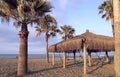 Dawn on the beach with palm trees and a gazebo with hammocks. Royalty Free Stock Photo