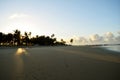 Dawn behind trees on the beach