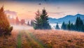 Dawn in Carpathian mountains. Foggy autumn scene of mountain valley with old country road. Royalty Free Stock Photo
