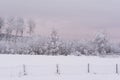 Pink Sunrise After Early November Snow