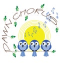 Dawn chorus