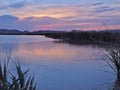 Dawn in Clark County Wetlands Park, Las Vegas, Nevada Royalty Free Stock Photo