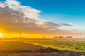 Dawn on cultivated fields Royalty Free Stock Photo
