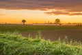 Dawn on cultivated fields Royalty Free Stock Photo