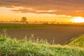Dawn on cultivated fields Royalty Free Stock Photo