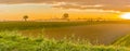 Dawn on cultivated fields Royalty Free Stock Photo