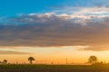 Dawn on cultivated fields Royalty Free Stock Photo
