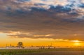 Dawn on cultivated fields Royalty Free Stock Photo