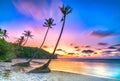 Dawn on a deserted beach with beautiful leaning coconut trees facing the sea Royalty Free Stock Photo