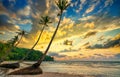 Dawn on a deserted beach with beautiful leaning coconut trees facing the sea Royalty Free Stock Photo