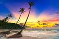 Dawn on a deserted beach with beautiful leaning coconut trees facing the sea Royalty Free Stock Photo