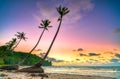 Dawn on a deserted beach with beautiful leaning coconut trees facing the sea Royalty Free Stock Photo