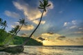 Dawn on a deserted beach with beautiful leaning coconut trees facing the sea Royalty Free Stock Photo