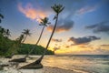 Dawn on a deserted beach with beautiful leaning coconut trees facing the sea Royalty Free Stock Photo