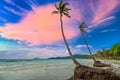Dawn on a deserted beach with beautiful leaning coconut trees facing the sea Royalty Free Stock Photo