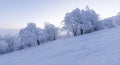 Dawn on an empty ski slope. Panorama. Royalty Free Stock Photo