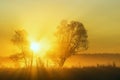 Dawn among the fields and forests. Royalty Free Stock Photo