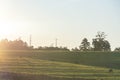 Dawn in the fields of the pampa biome in Rio Grande do Sul Brazil Royalty Free Stock Photo