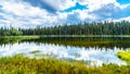 Dawn Glow Pond near Lac Le Jeune near Kamloops, British Columbia, Canada