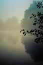 Dawn in Goldsworth Park Woking Surrey England at misty lake in d Royalty Free Stock Photo