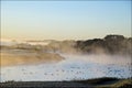 Dawn in the golf club with mist and migration birds Royalty Free Stock Photo