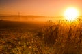 Dawn, the hot sun rises over the field, power line