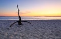 Dawn at Hyams Beach Jervis Bay Royalty Free Stock Photo