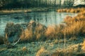 Dawn light breaking on a frozen pond on Wetley Moor.