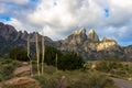 Dawn light at Organ Mountains-Desert Peaks National Monument in New Mexico