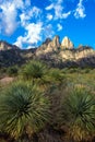 Dawn light at Organ Mountains-Desert Peaks National Monument in New Mexico Royalty Free Stock Photo